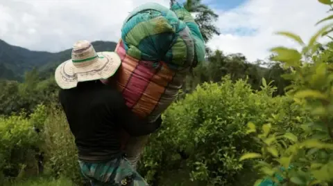 United States Designates the South American Nation as Non-Cooperative in Drug War